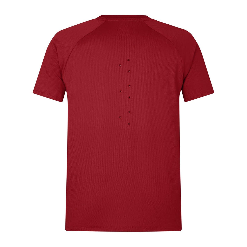 Everest Tee with British & Irish Lions Logo by Canterbury