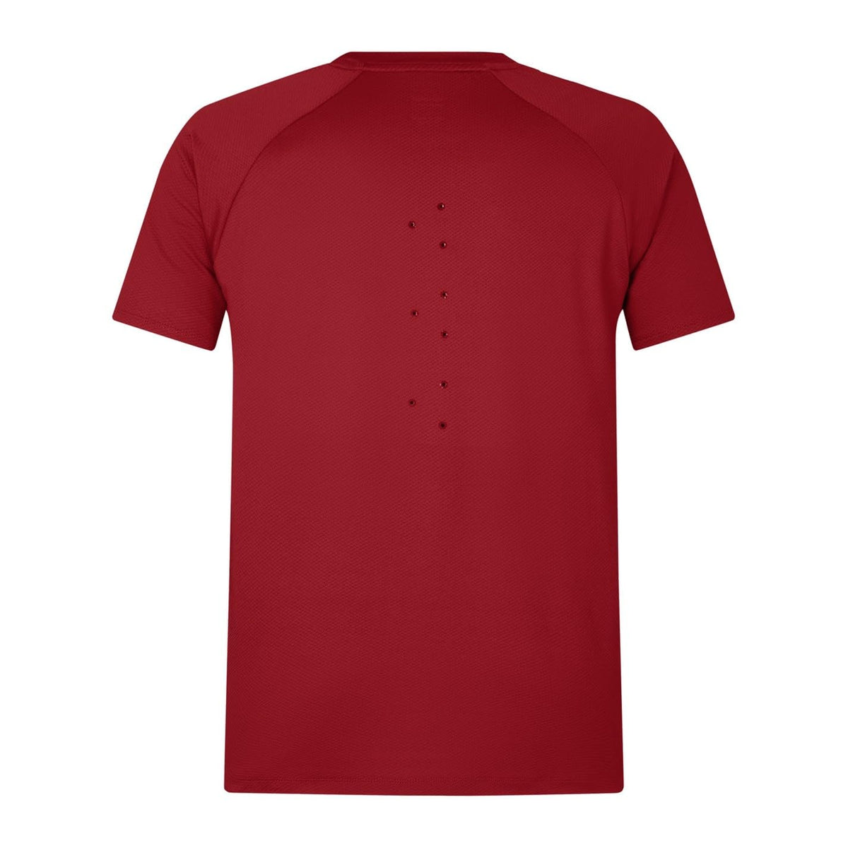Everest Tee with British & Irish Lions Logo by Canterbury