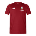 Everest Tee with British & Irish Lions Logo by Canterbury